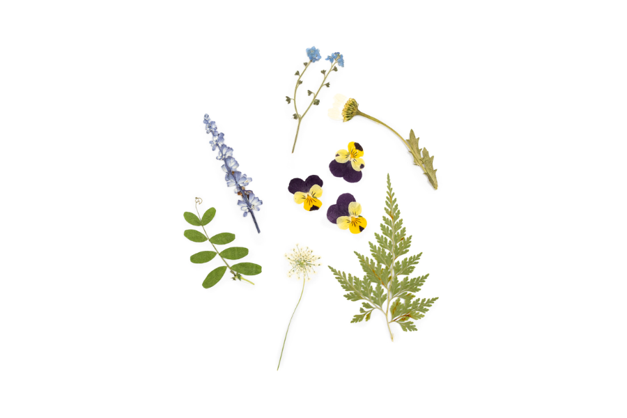 Botanicals