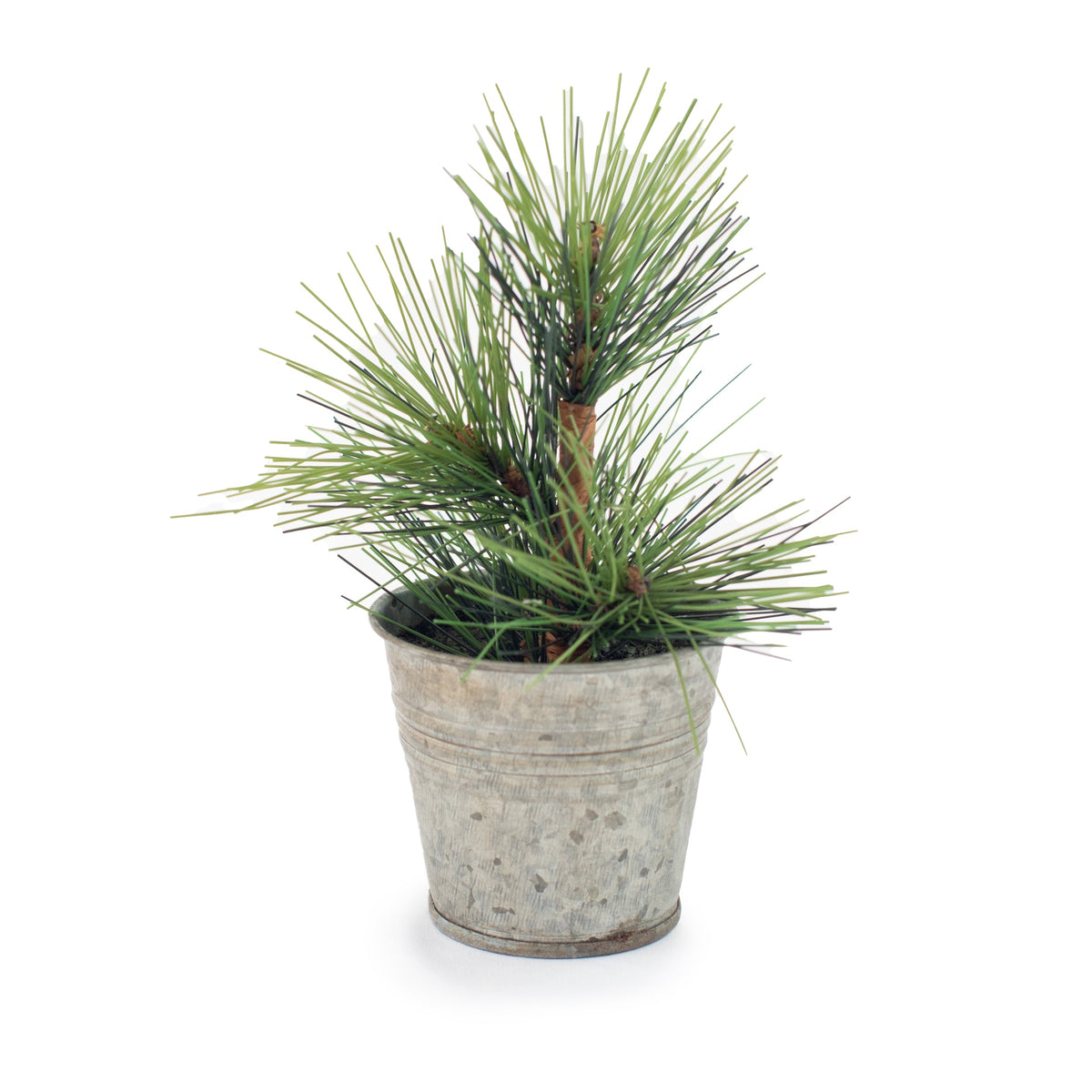 ***Mini Pine Tree In Tin Pot