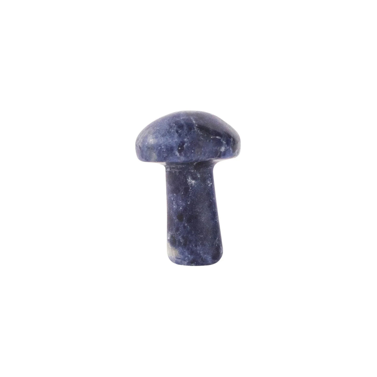 Sodalite Mini Mushroom