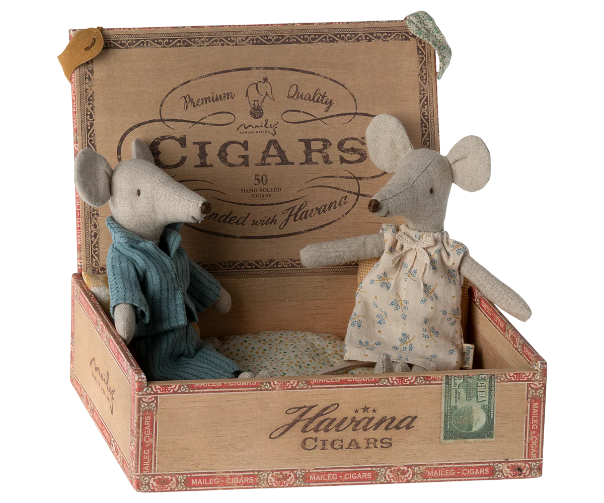 Mum and dad Mouse in Cigar Box