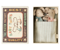 TWINS, BABY MICE IN MATCHBOX ,