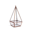 Hanging Glass Terrarium