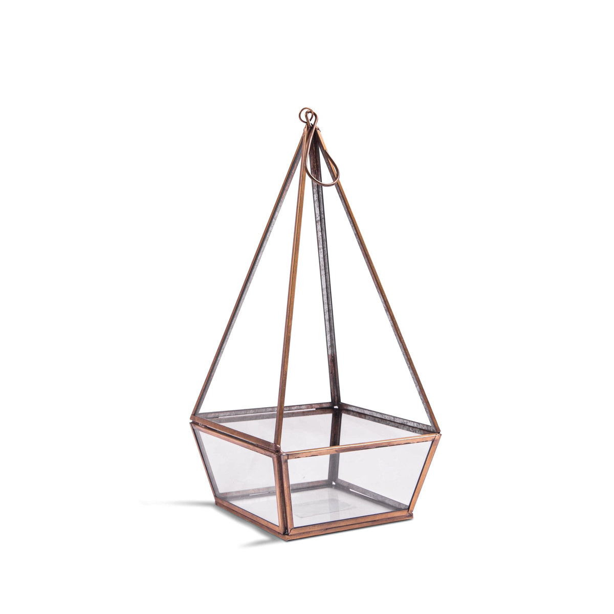 Hanging Glass Terrarium