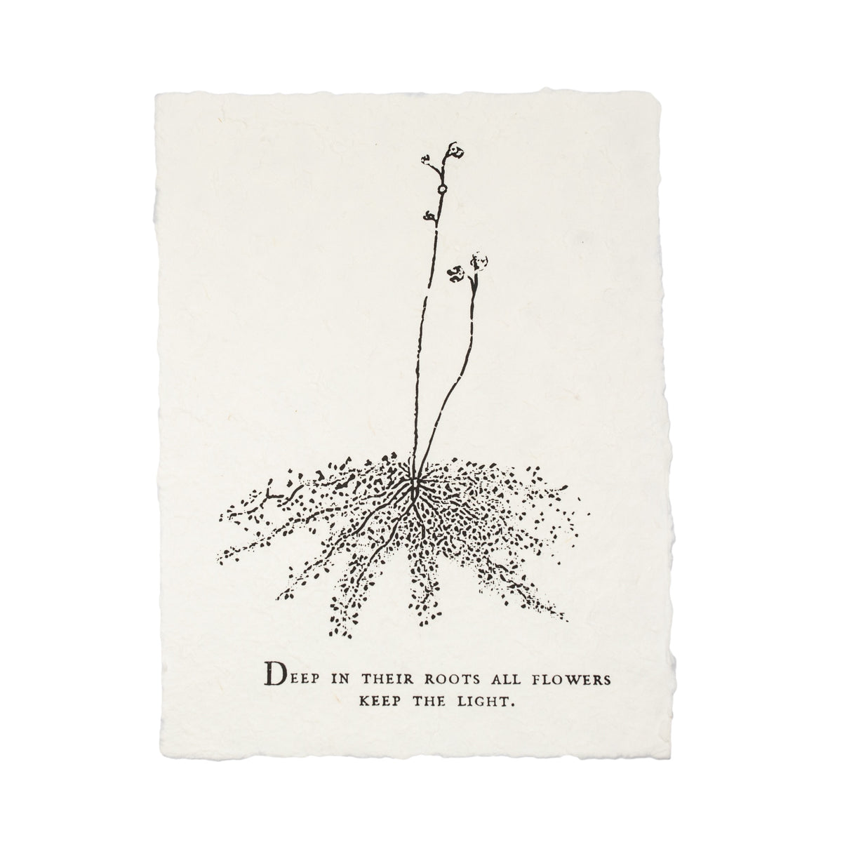 Botanical Handmade Paper Print