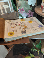 Happily Ever After Leather Story Keeper 14x10 - Fawn