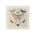 Dancing Moths - Flora & Fauna Collection - 8x8