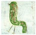 Walking Green Bird Art Print
