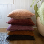 Canyon Velvet Pillow with Poms 22x22