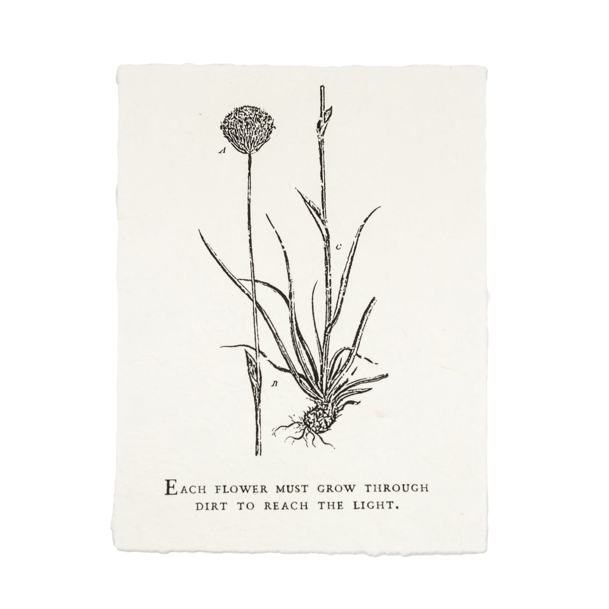 ***Each Flower Must Grow Botanical Handmade Paper Print - 12x16