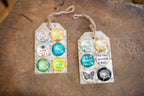 Magnet Collection 1st Edition