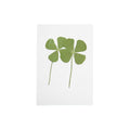 Four Leaf Clover Pressed Botanical