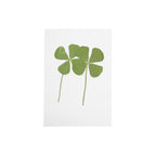 Four Leaf Clover Pressed Botanical