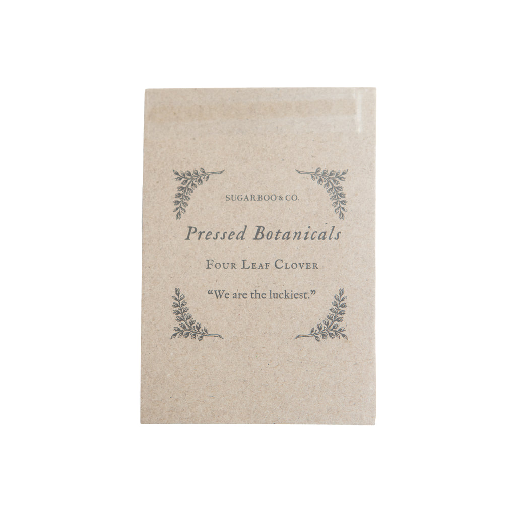 Four Leaf Clover Pressed Botanical