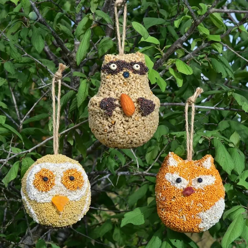 Woodland Friends Asst