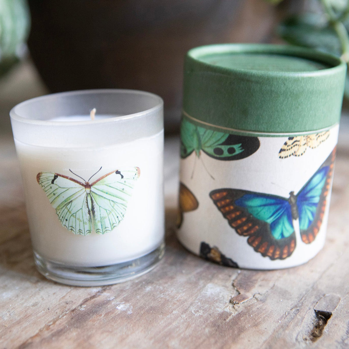 Flora & Fauna Candle Collection