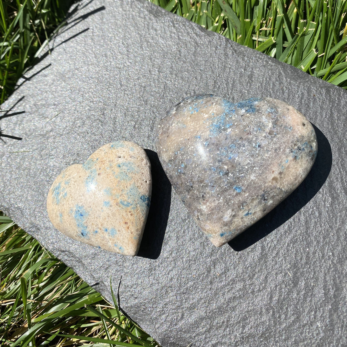 Two polished heart-shaped blue spiny oyster stone crystals resting on a gray slate slab outdoors on a green grass lawn.