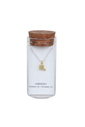 Scorpio - Message in a Bottle Zodiac Necklace Collection