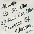 Always Be On The Lookout Art Print