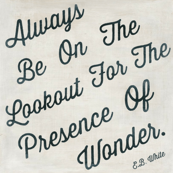 Always Be On The Lookout Art Print