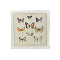 Butterfly Cluster - Flora & Fauna Collection - 8x8
