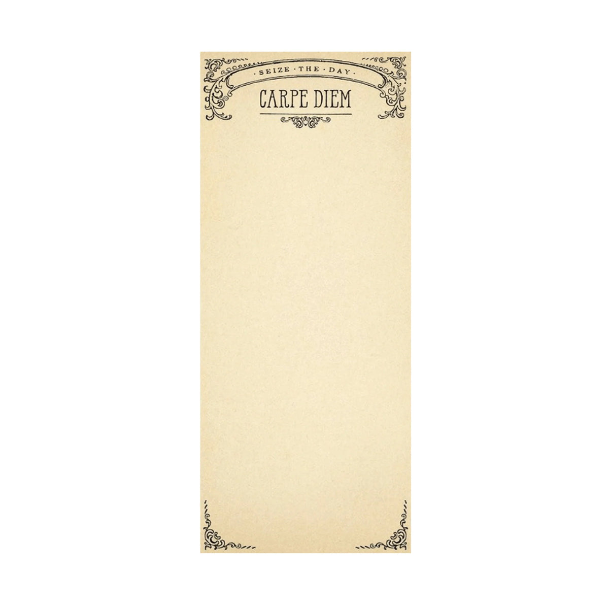 ***Carpe Diem Skinny Notepad