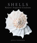 Shells By Joyce Tenneson