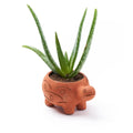 Rakshana Turtle Plant Pot - Terracotta