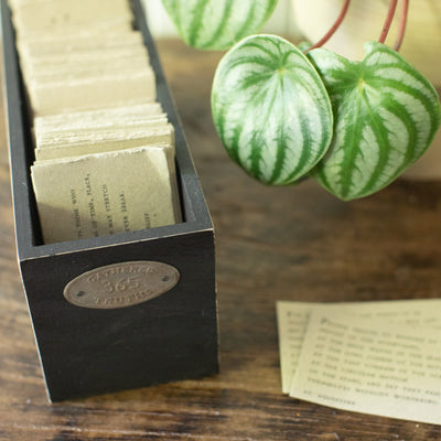 365 Gathered Thoughts Box - 1st Edition