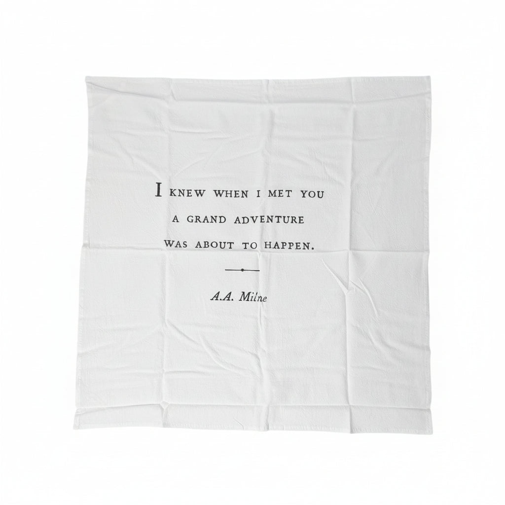 Friendship Cotton Napkins / Dishtowels - Set of 10