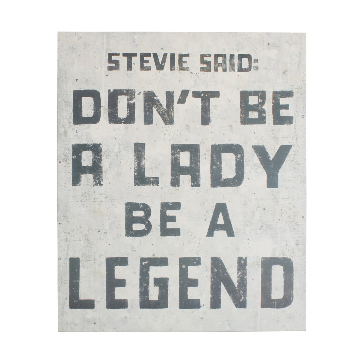 Stevie Said Art Poster