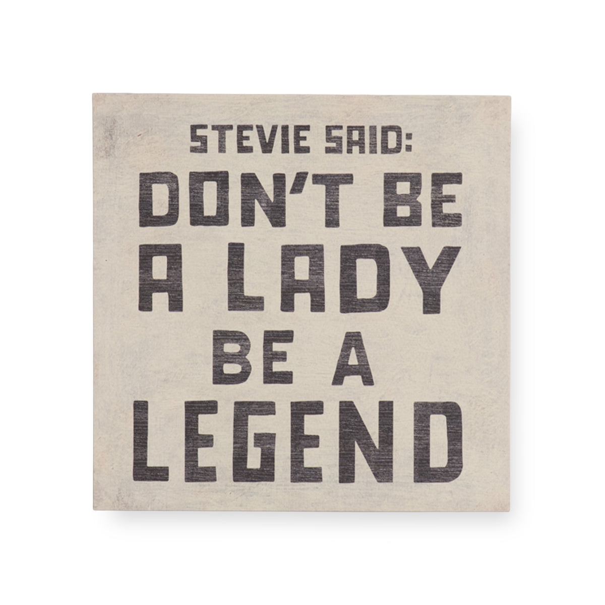 Stevie Said Art Poster