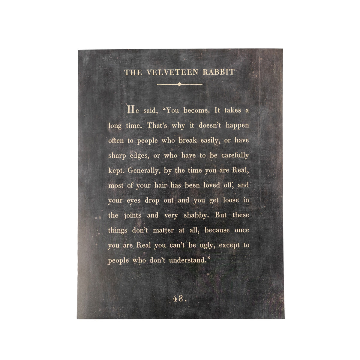 The Velveteen Rabbit Art Poster - Book Collection