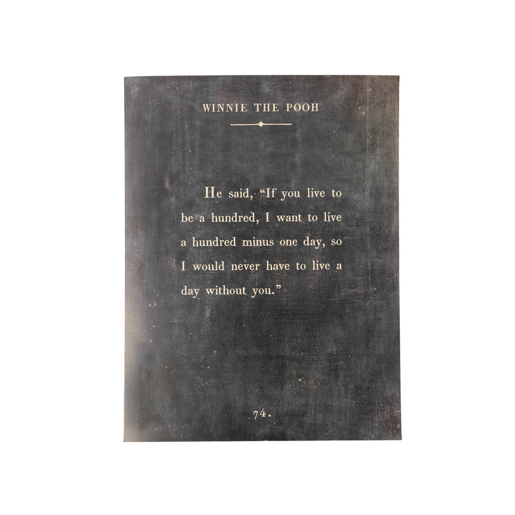 Winnie The Pooh Book Collection Art Poster