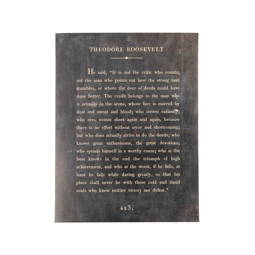 Theodore Roosevelt Book Collection Art Poster