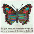 Butterfly Art Print - Quick Ship
