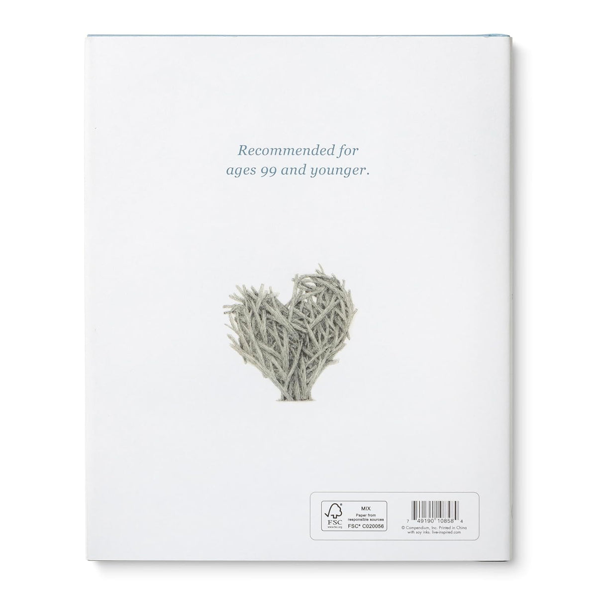 Chasing Dreams Book