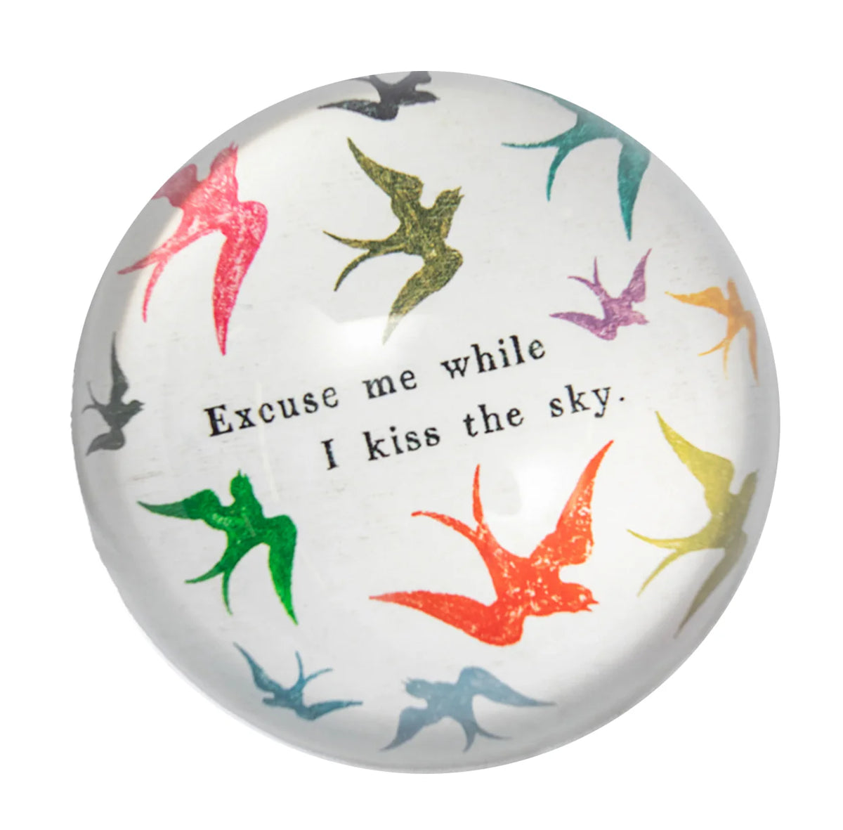 ***Excuse Me While I Kiss The Sky Paperweight