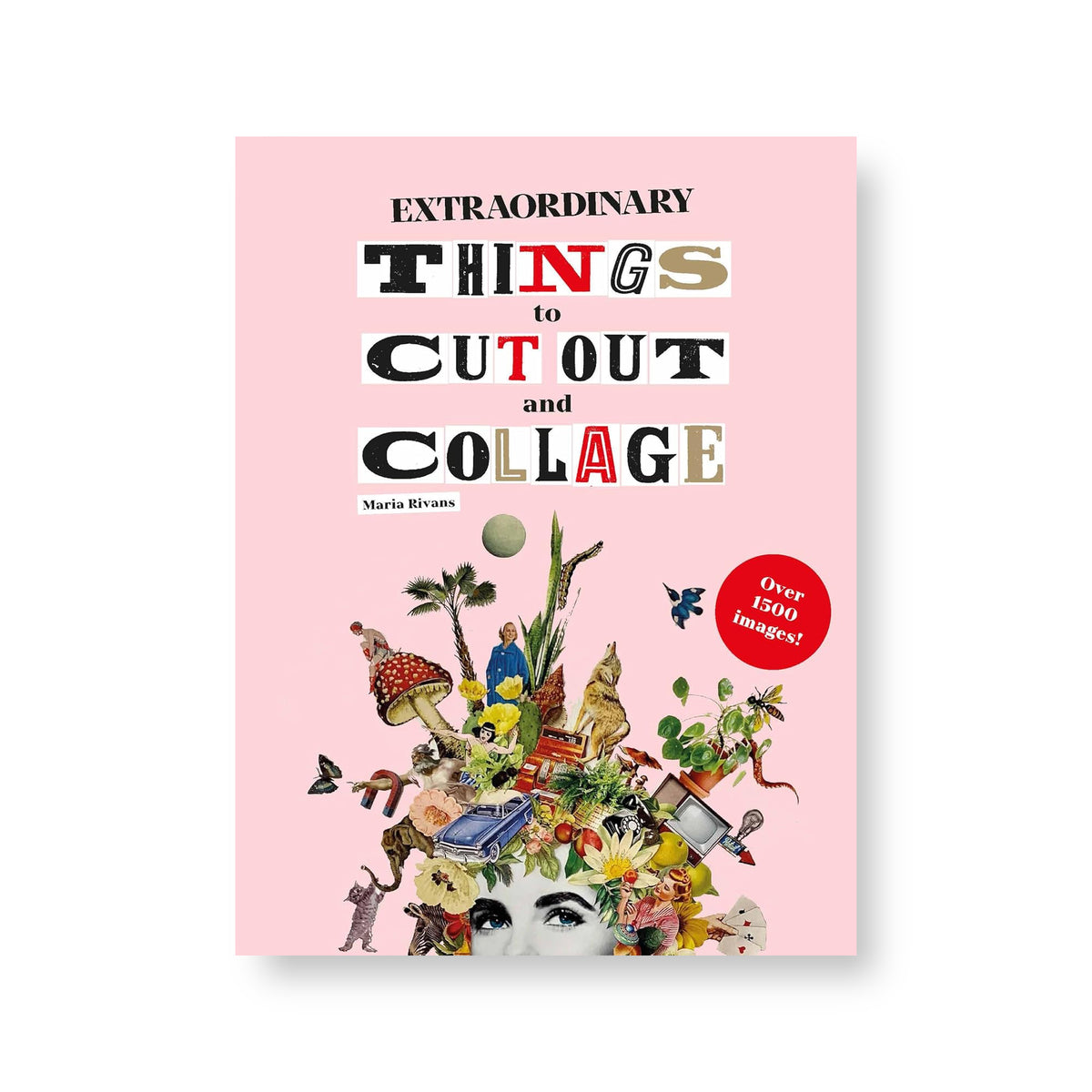 Extraordinary Things to Cut Out and Collage