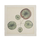 Water Lily - Flora & Fauna Collection - 8x8