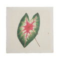 Caladium Leaf - Flora & Fauna Collection - 8x8