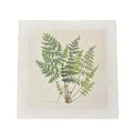 Fern Bunch - Flora & Fauna Collection - 11x11