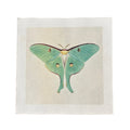 Green Luna Moth - Flora & Fauna Collection - 11x11