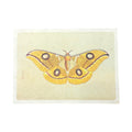 Yellow Moth - Flora & Fauna Collection - 16x12
