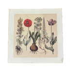 Root Bunch - Flora & Fauna Collection - 11x11