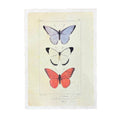 Butterfly Trio - Flora & Fauna Collection - 12x16