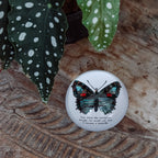 Butterfly Paperweight