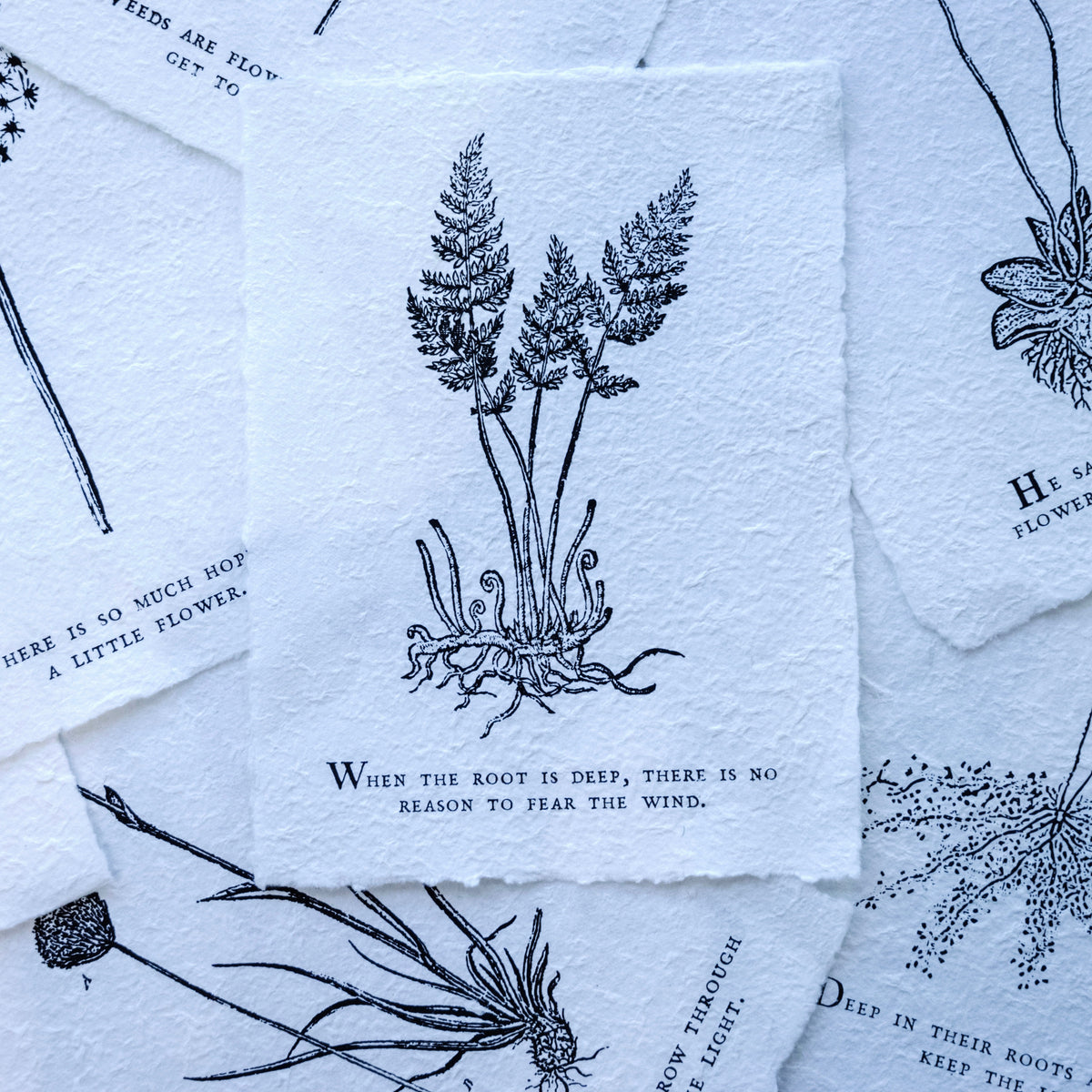***When The Root Is Deep Botanical Handmade Paper Print - 12x16