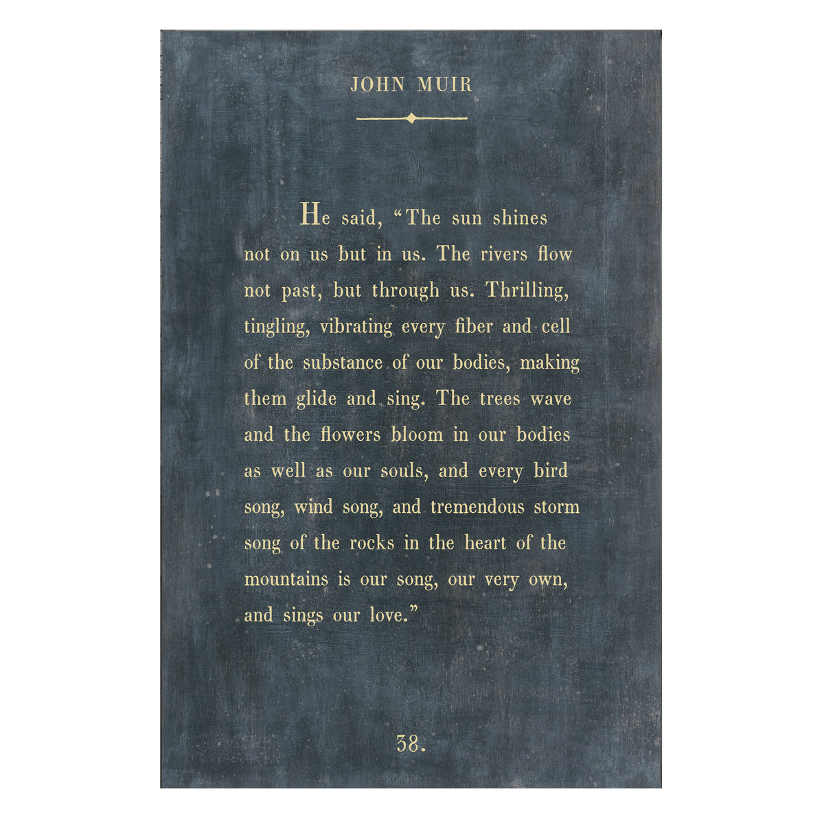 John Muir Art Print - Book Collection