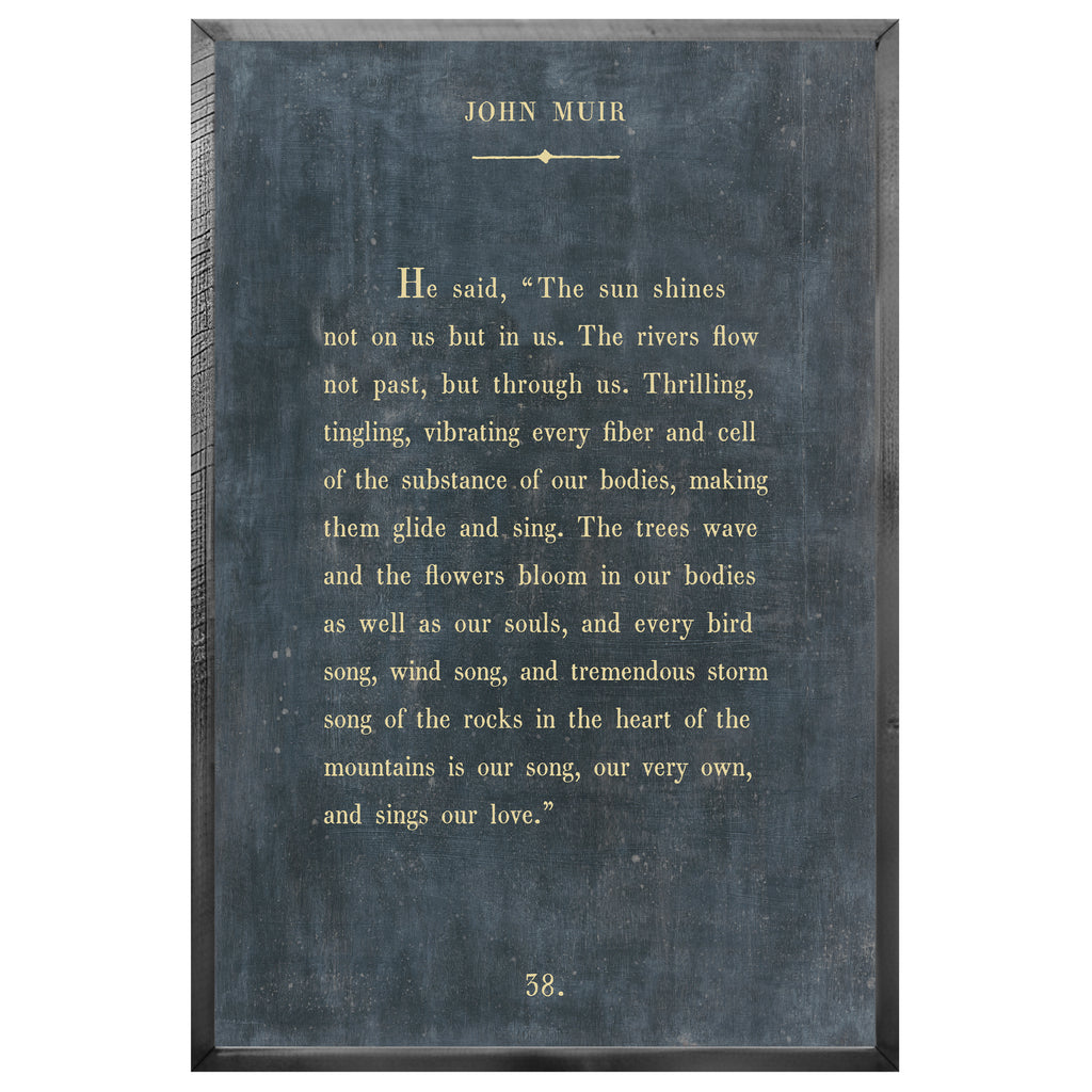 John Muir Art Print - Grey Wood