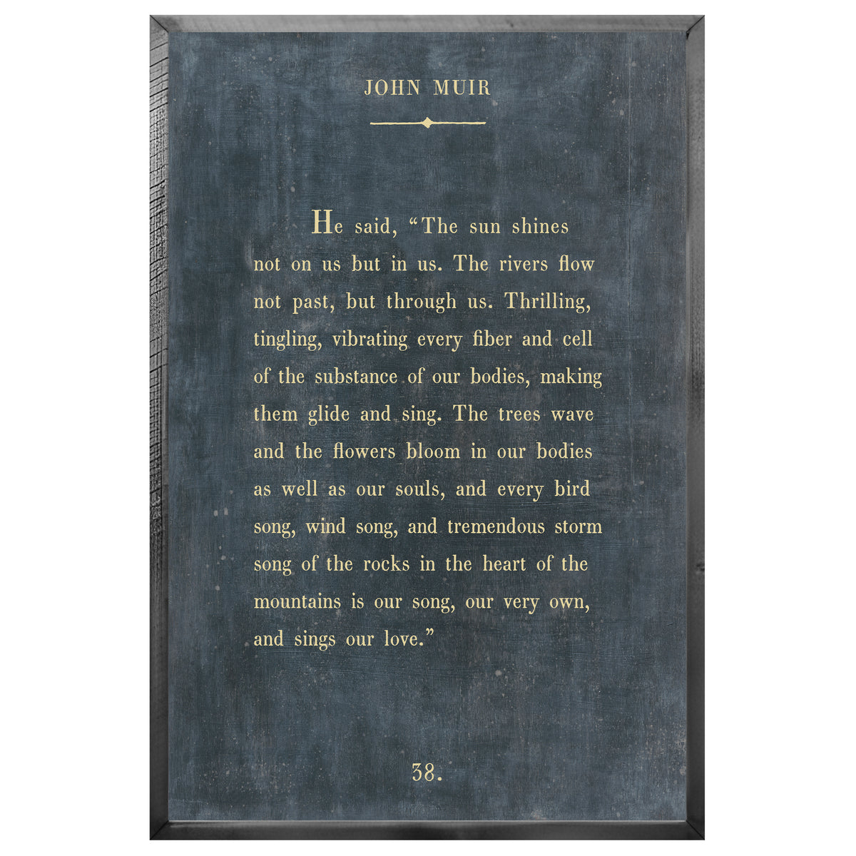 John Muir Art Print - Grey Wood